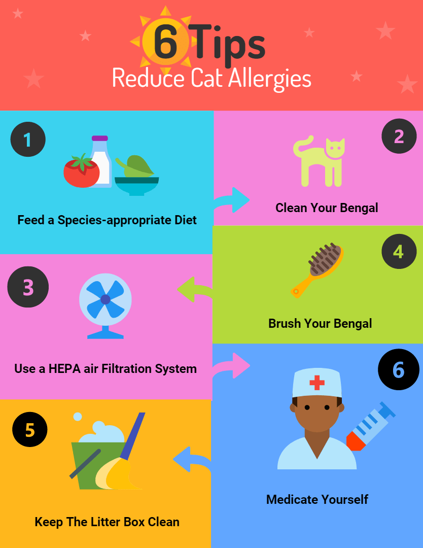 Tips For Reduce Cat Allergies