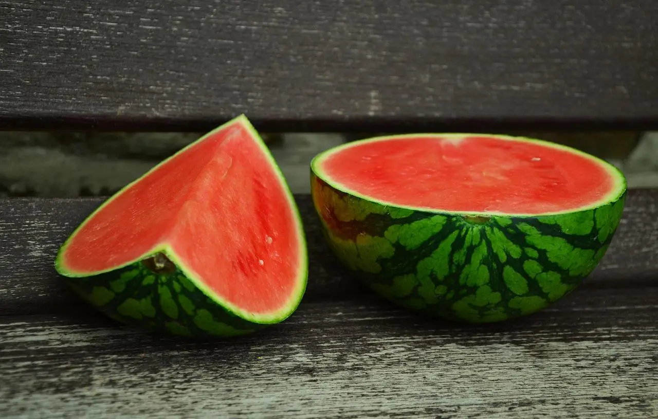 Can Cats Have Watermelon? The Best Guide