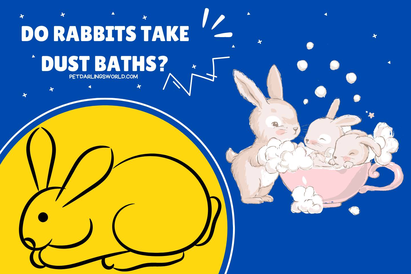 do rabbits take dust baths
